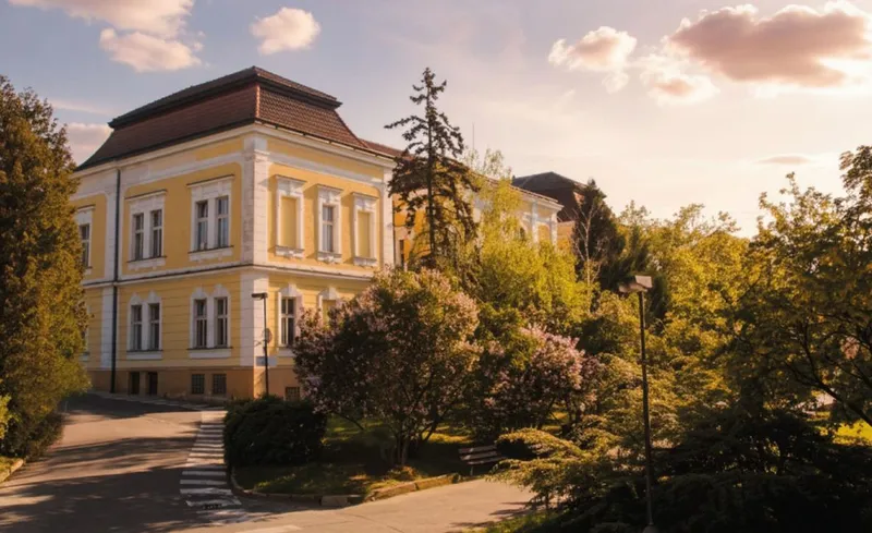 Konference psychoneuroonkologie